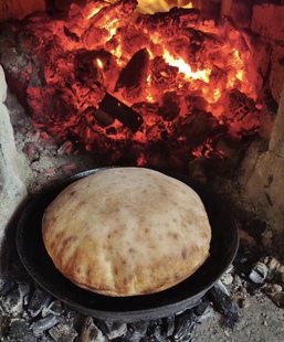 内蒙古敖鲁古雅玛力亚索使鹿部落鹿奶列巴