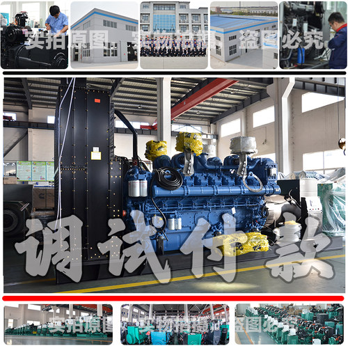 集装箱880KW柴油发电机组 1100KVA 968KW玉柴YCDV270A3H-1320