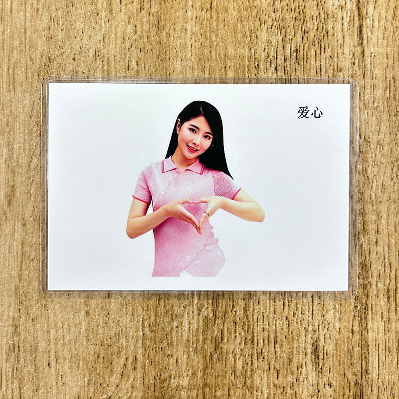 手势动作手语认知卡自闭症唐氏发育迟缓儿童aba康复训练教具卡