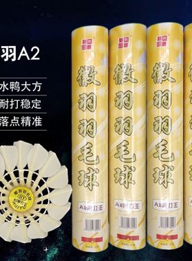 12只徽羽B2B3A1A2耐打王落点稳定安徽水鸭软木羽毛球比赛训练室内