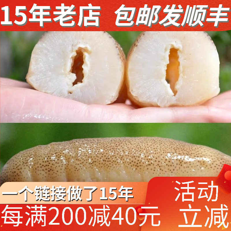 光秃参澳洲金沙参进口野生海参淡干货深海食用水产海产品250克