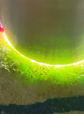 A80328 缅甸天然翡翠原石老坑木那场口手镯料 重4.1公斤