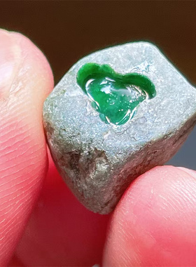 A86918 精品缅甸天然翡翠原石老坑后江场口色料戒面料  重2克