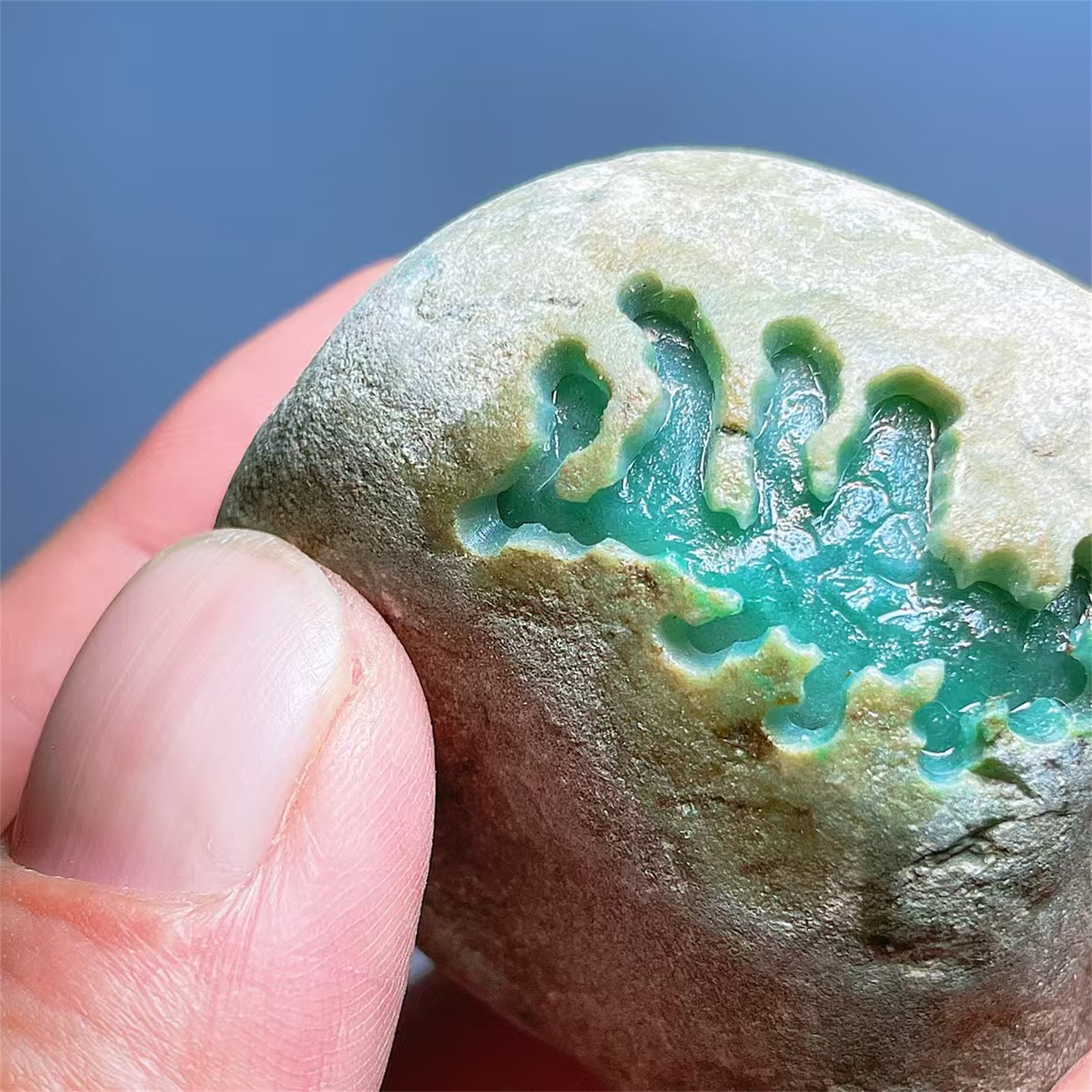 精品缅甸天然翡翠原石色料