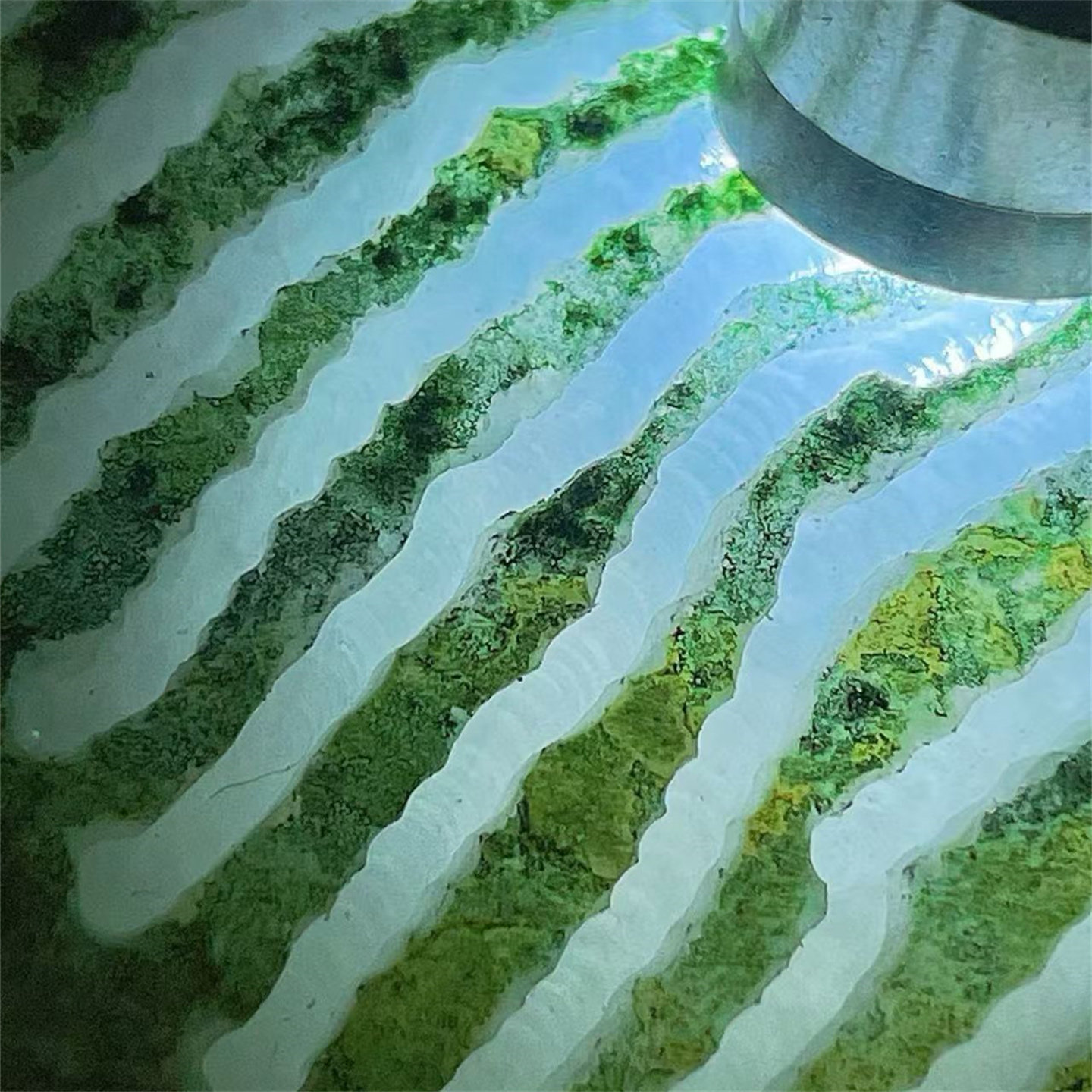 Q35680 缅甸天然翡翠原石老坑会卡场口开窗手镯料 重35公斤