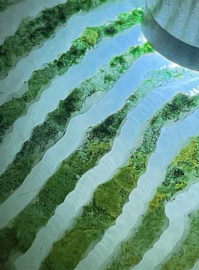 Q35680 缅甸天然翡翠原石老坑会卡场口开窗手镯料 重35公斤