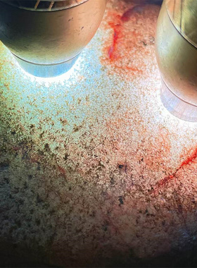 AA16742缅甸天然翡翠原石老坑会卡场口水翻沙手镯料 重16公斤