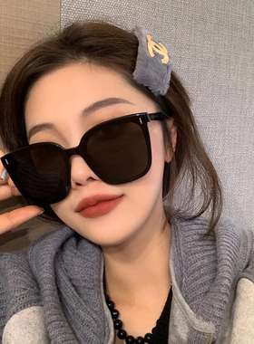 墨镜男女同款高级感ins偏光镜