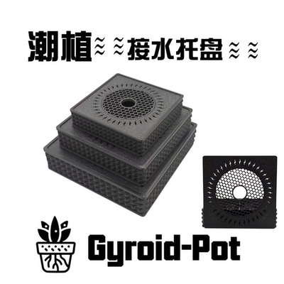 3D打印多肉块根植物接水托盘