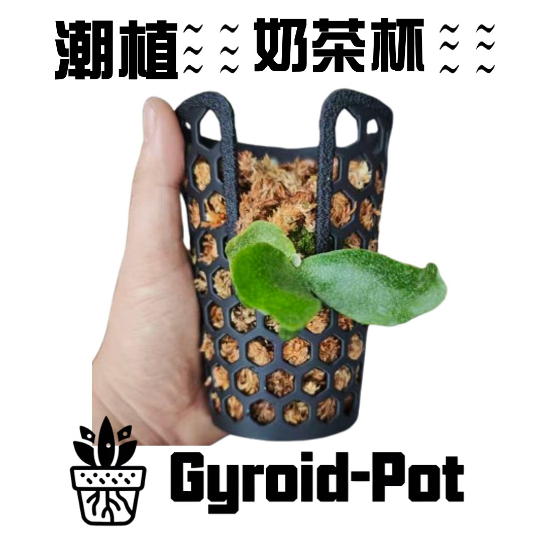 鹿角蕨种植杯 蝴蝶兰 蕨类植物育苗 奶茶杯 镂空花盆 透气花盆