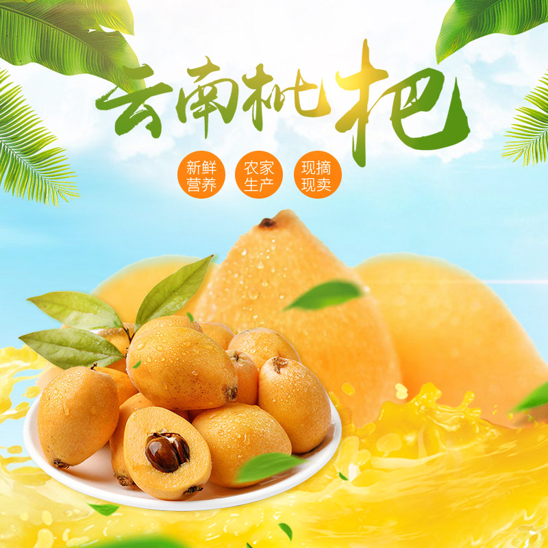 云南高原特产正宗蒙自枇杷鲜果现枇杷