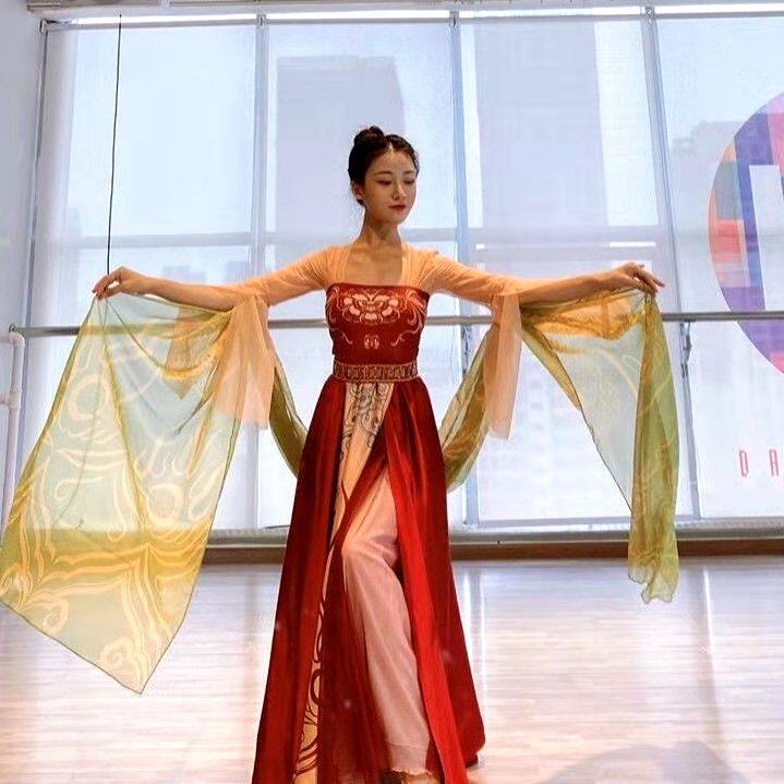 美人关古典舞蹈演出服王诗意同款唐制汉服古装女飘逸民族风