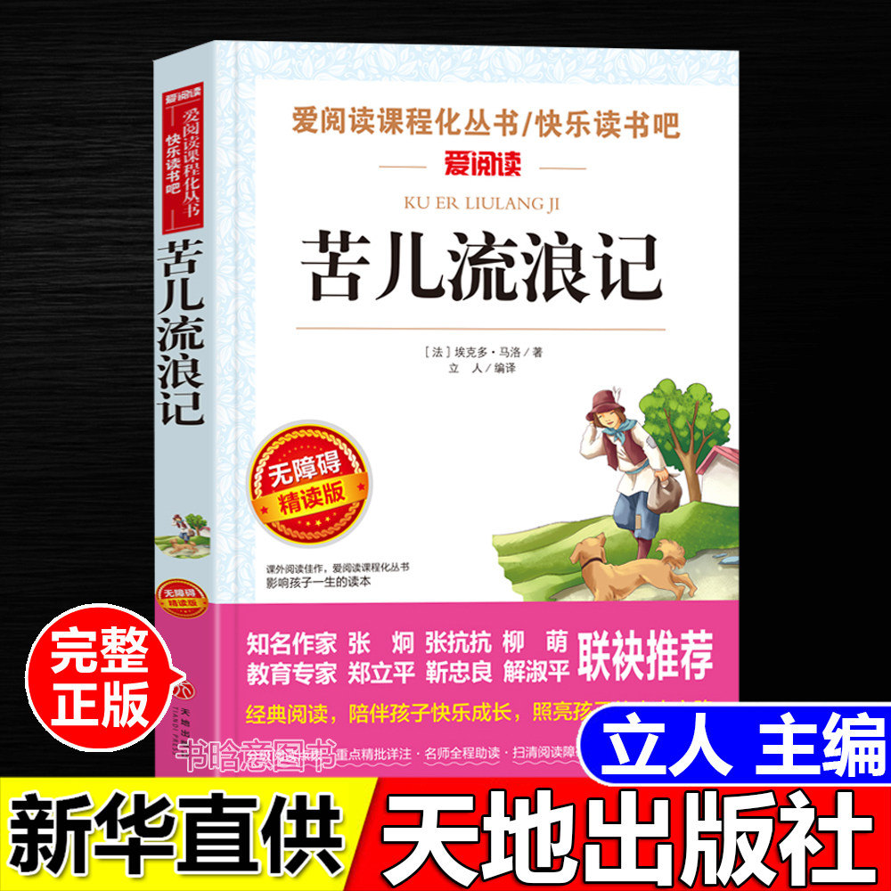正版苦儿流浪记埃克多马洛原著天地出版社爱阅读名著课程化丛中小学生