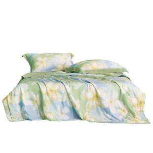 水星家纺60支兰精天丝夏凉被A类抑菌凉感被子夏季可水洗空调被