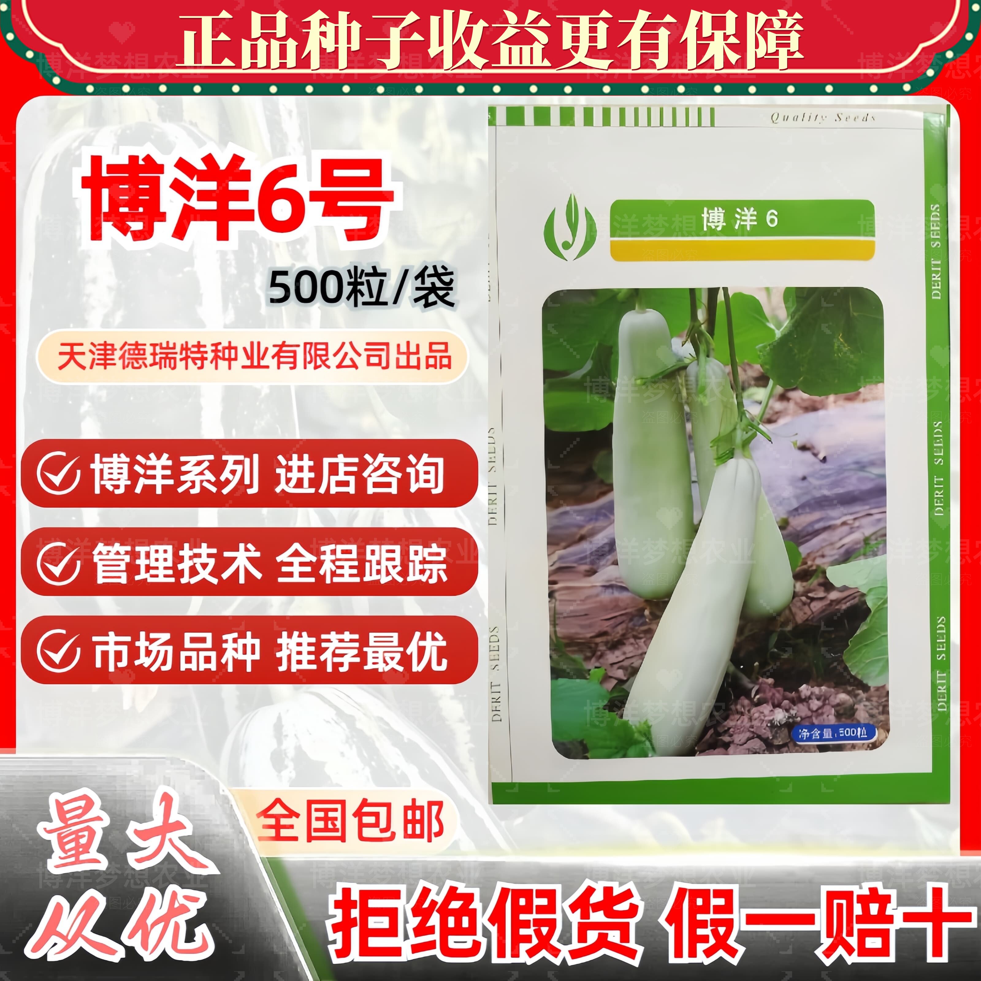 博洋6号正品甜瓜种子大全