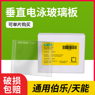 伯乐bio 厚板 rad天能WB电泳玻璃板制胶凝胶薄板厚板蛋白玻璃短板