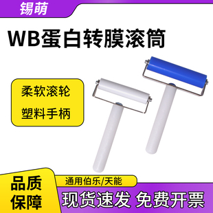 国产Western Blot转膜滚筒WB滚轮蛋白转膜贴膜赶气泡滚子通用伯乐