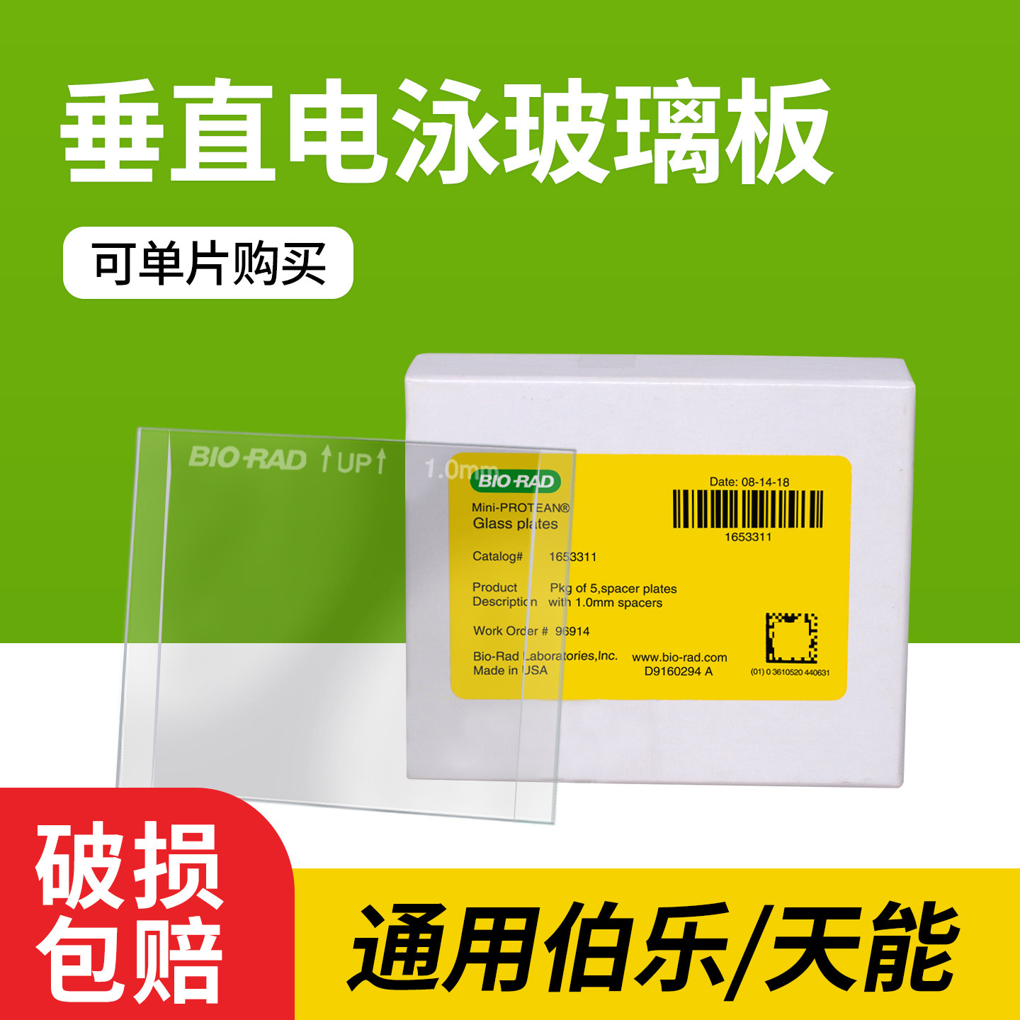 薄板WB电泳伯乐锡萌天能玻璃板