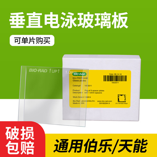 薄板WB电泳伯乐锡萌天能玻璃板