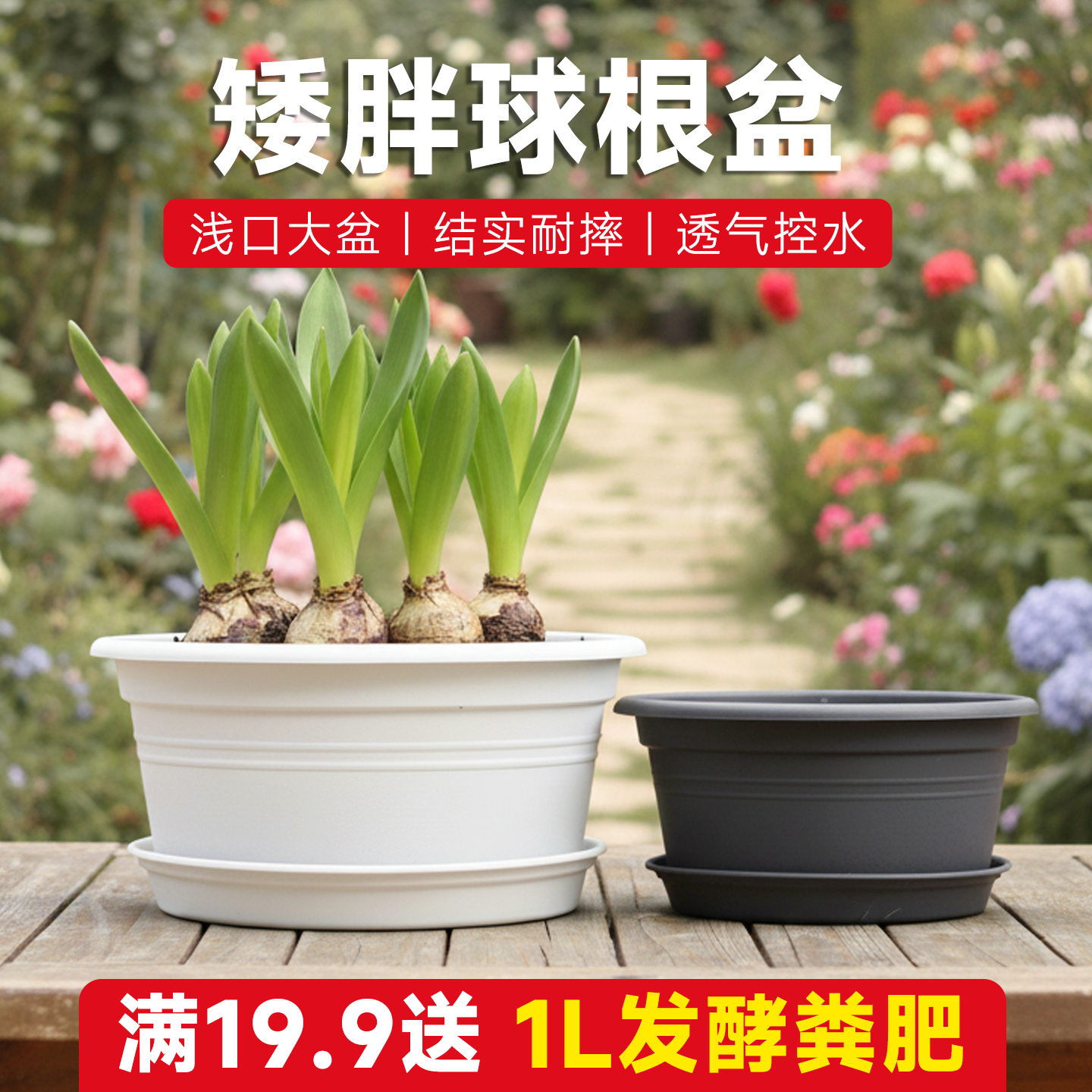 霍伦盆圆形树脂矮花盆大口径球根绣球兰花种植塑料盆花卉植物盆栽