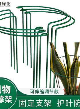 蟹爪兰花架子绣球铁艺花架藤架植物撑杆固定支撑杆爬藤架护叶支架
