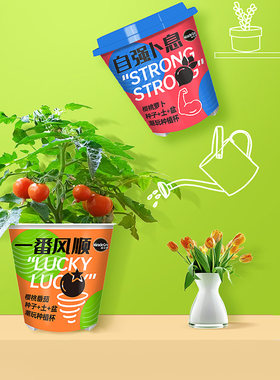 清仓 美乐棵潮玩杯樱桃番茄杯水果黄瓜育苗种子植物可食用盆栽
