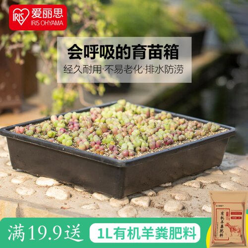 爱丽思育苗箱托盘花盆多肉叶插盆栽钵育苗盆透气透水种植盆育苗盘