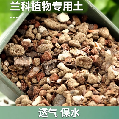 兰科植物专用配方营养土君子兰洋兰国兰家用养花种植土颗粒培养土