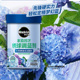清仓 美乐棵家用花卉硫酸铝绣球调蓝调色剂土壤调酸水溶肥养花肥