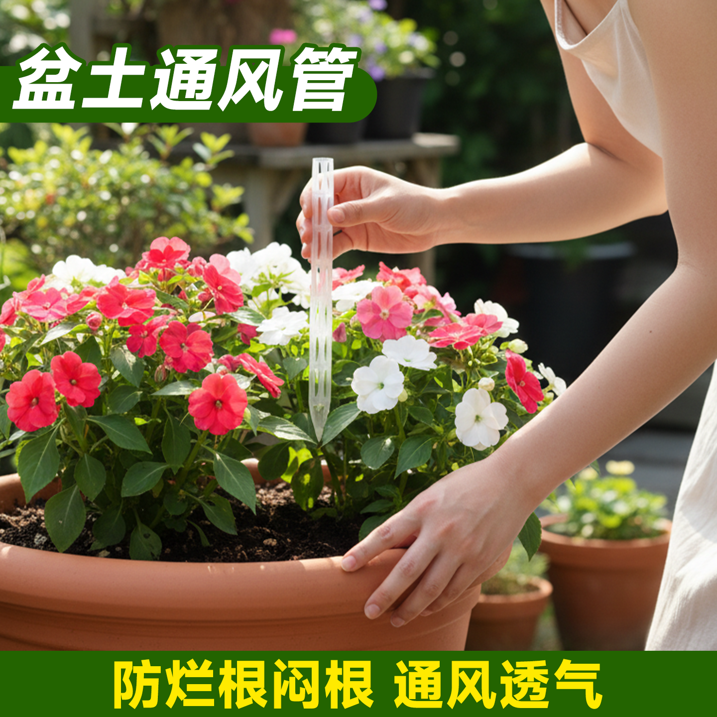 花盆通风管加长防烂根土壤透气锥通风盆景控根盆土土壤透气管浇水,鲜花速递/花卉仿真/绿植园艺,其它园艺用品,淘宝优惠券,粉丝福利购,淘宝优惠卷