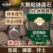 生长魔励钵底石家用园艺室内花卉盆栽多肉植物铺面垫底透气小石头