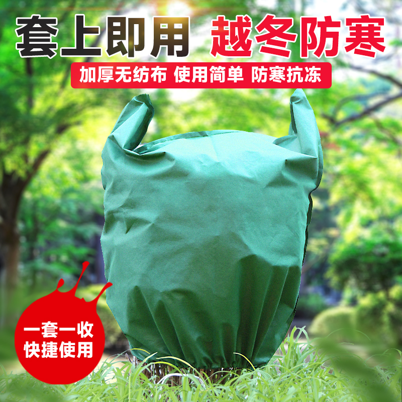 冬季植物果树防寒过冬