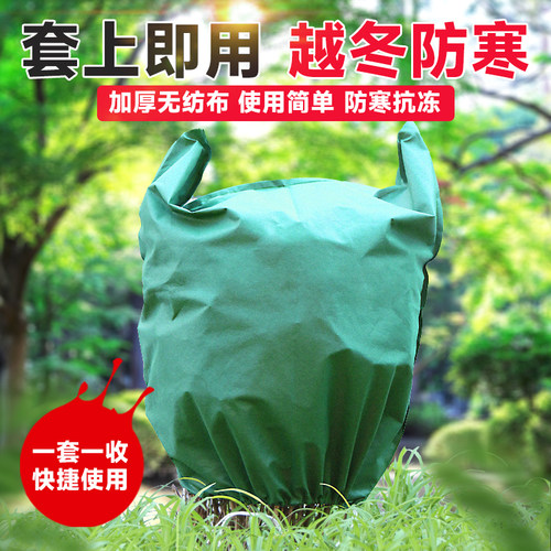 冬季植物果树防寒过冬