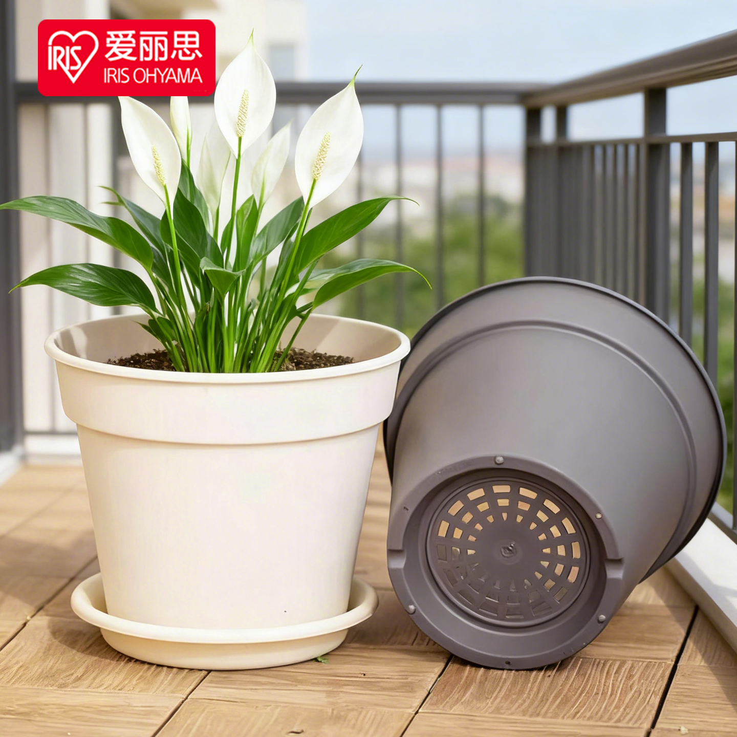 爱丽思花盆爱丽丝塑料树脂圆多肉加厚简约兰花绿萝素烧风透气兰花,鲜花速递/花卉仿真/绿植园艺,花盆,淘宝优惠券,粉丝福利购,淘宝优惠卷