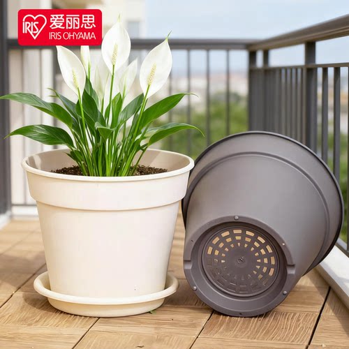 爱丽丝塑料树脂圆多肉花盆