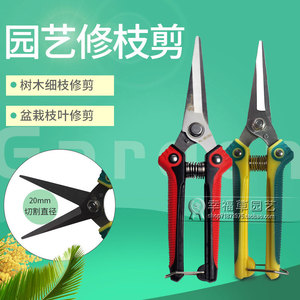 家用花卉盆栽多肉植物修枝剪剪树枝果树细枝修剪园艺剪枝剪刀花剪