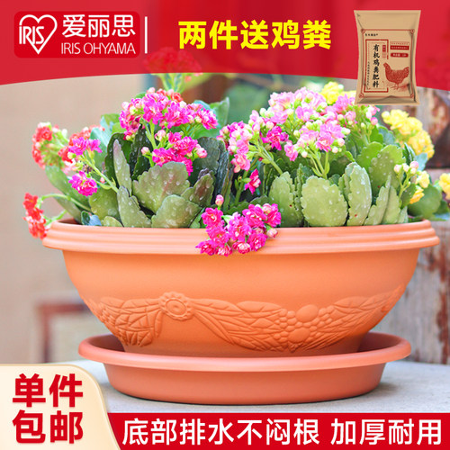 爱丽思浮雕半球花盆2件送鸡粪