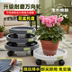 家用移动花盆托盘万向轮加厚塑料圆形梯面滚轮底座花盘垫带接水盒