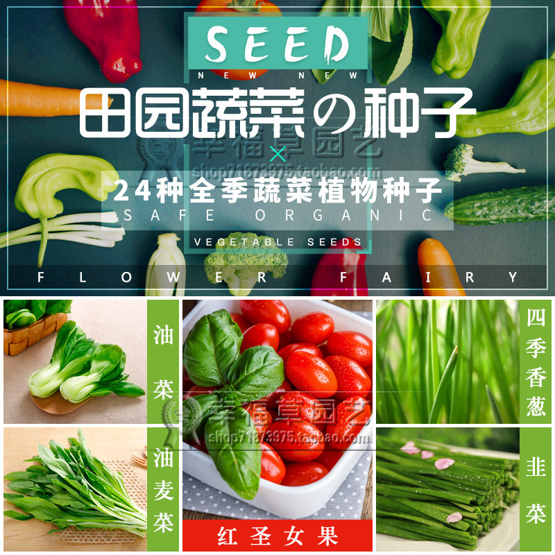 四季可播种蔬菜韭菜种子室内庭院易成活萝卜食用小葱香菜生菜籽,鲜花速递/花卉仿真/绿植园艺,家庭园艺种子,淘宝优惠券,粉丝福利购,淘宝优惠卷
