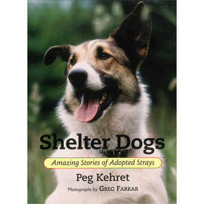 现货英文读物课外阅读小说