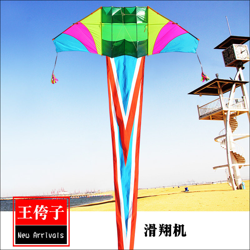 珍藏版王侉子滑翔机544伞布风筝图片