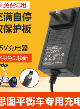 柏思图电动平衡车充电器36V通用42V电源冲电线儿童两轮车DC圆头专