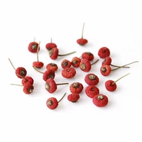 20 плодов шиповника