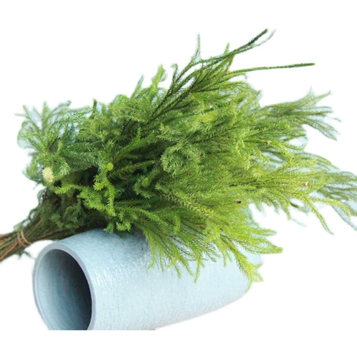 Eternal Shissheng Shisong Mori -это естественный воздух, цветы, цветочные ветви, цветочный материал львиной травы с домашними украшениями рождественские украшения