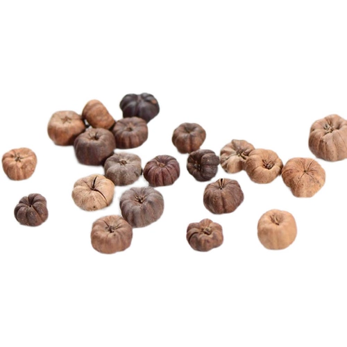 [Маленькая оранжевая тыква] Маленькая высушенная тыква фруктовые шимори - это цветочное кольцо ручной кольцо сухой цветок аромат свеча вечный цветок