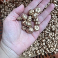 20 золотых тыкв