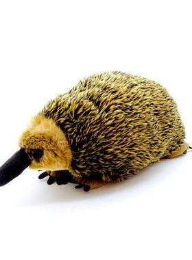 仿真针鼹 毛绒玩具公仔可爱 澳洲针鼹公仔仿真动物毛绒玩偶