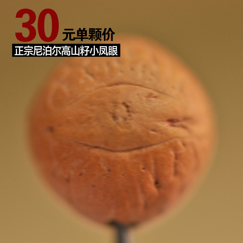 正宗尼泊尔凤眼菩提子单颗