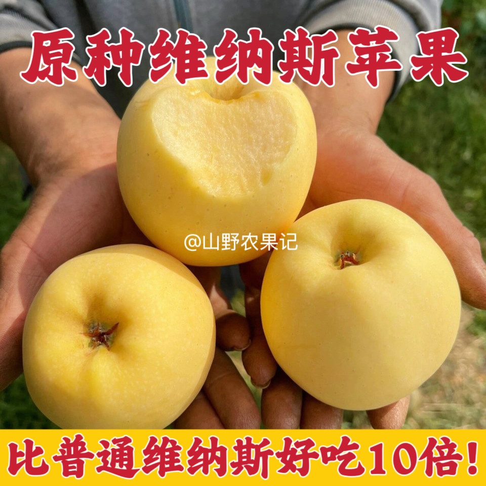 山东烟台正宗维纳斯黄金苹果雀斑苹果新鲜水果当季整箱糖心丑苹果,水产肉类/新鲜蔬果/熟食,苹果,淘宝优惠券,粉丝福利购,淘宝优惠卷