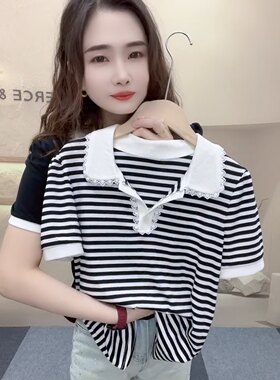新款polo领条纹短袖t恤女拼接蕾丝花边娃娃领上衣休闲百搭打底衫